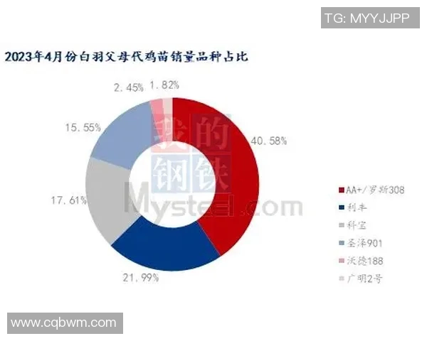 体育胜负预测模型更新
