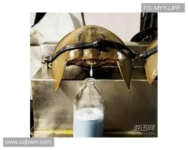 你不知道的篮球八卦：十大冷知识大揭秘