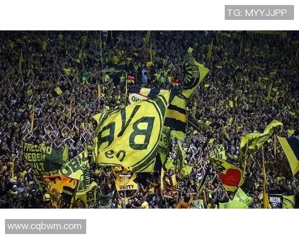 你不知道的多特蒙德:十大冷知识大揭秘 你不知道的多特蒙德:十大冷知识大揭秘